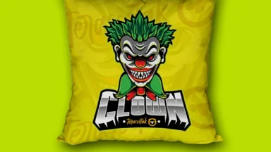 Bantal Sofa
